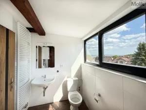 Pronájem bytu 3+kk, Osek, Tovární, 54 m2