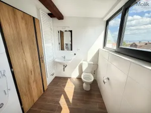 Pronájem bytu 3+kk, Osek, Tovární, 54 m2