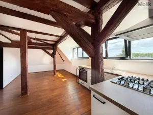 Pronájem bytu 3+kk, Osek, Tovární, 54 m2