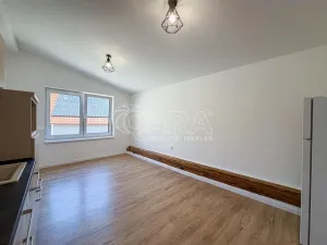 Pronájem bytu 1+kk, Křížkový Újezdec - Čenětice, 23 m2
