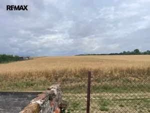 Prodej pozemku pro bydlení, Nové Syrovice, 1675 m2
