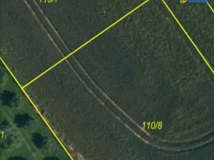 Prodej pozemku pro bydlení, Nové Syrovice, 1675 m2