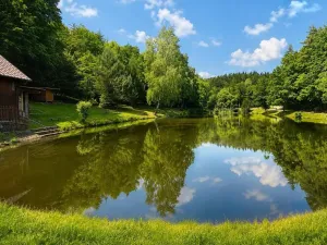 Prodej chaty, Olšany, 40 m2
