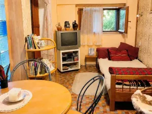 Prodej chaty, Olšany, 40 m2