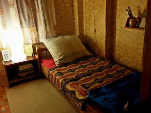 Prodej chaty, Olšany, 40 m2