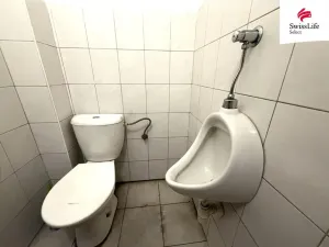 Prodej výrobních prostor, Nezvěstice, 229 m2