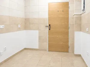 Pronájem komerční nemovitosti, Hranice - Hranice IV-Drahotuše, 29 m2