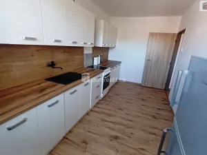 Pronájem bytu 3+1, Ústí nad Labem - Střekov, Purkyňova, 78 m2