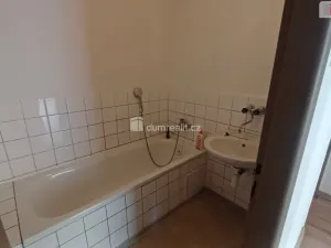 Pronájem bytu 3+1, Ústí nad Labem - Střekov, Purkyňova, 78 m2