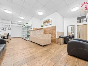 Prodej obchodního prostoru, Brno, Lidická, 326 m2