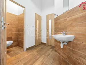 Prodej obchodního prostoru, Brno, Lidická, 326 m2