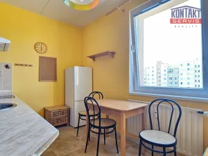 Pronájem bytu 2+1, České Budějovice, Netolická, 47 m2