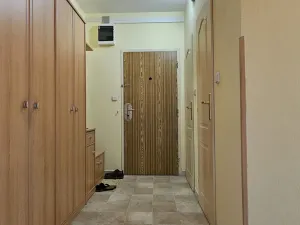 Pronájem bytu 2+1, České Budějovice, Netolická, 47 m2