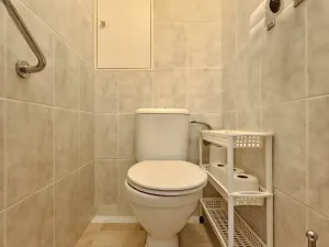 Pronájem bytu 2+1, České Budějovice, Netolická, 47 m2