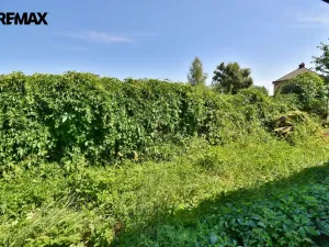 Prodej rodinného domu, Velký Třebešov, 55 m2
