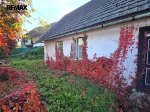 Prodej rodinného domu, Velký Třebešov, 55 m2