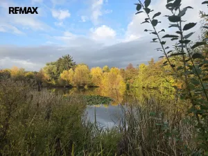 Prodej rodinného domu, Velký Třebešov, 55 m2