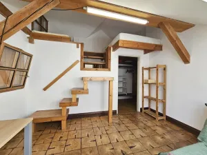 Pronájem bytu 1+1, Praha - Žižkov, Rokycanova, 41 m2