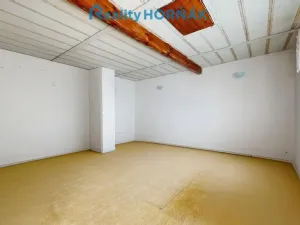 Prodej rodinného domu, Bechyně, Plechamr, 91 m2
