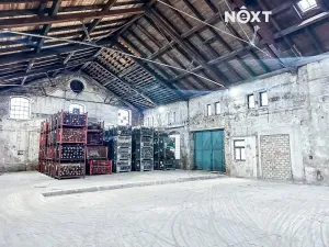 Pronájem skladu, Dětřichov, 6890 m2