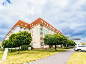 Prodej bytu 2+1, Ostrava, Dr. Šavrdy, 45 m2