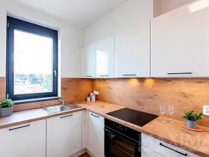 Prodej bytu 2+kk, Praha - Holešovice, Argentinská, 79 m2