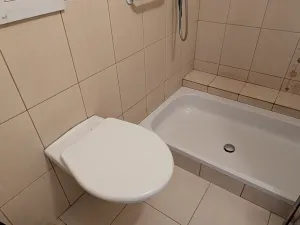 Prodej rodinného domu, Dříteň, 225 m2