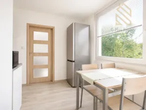 Prodej bytu 2+1, Ústí nad Labem - Střekov, Tolstého, 62 m2