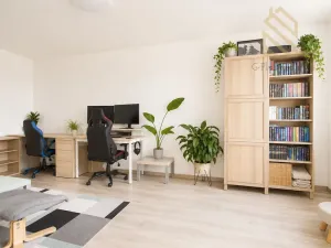 Prodej bytu 2+1, Ústí nad Labem - Střekov, Tolstého, 62 m2