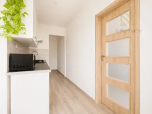 Prodej bytu 2+1, Ústí nad Labem - Střekov, Tolstého, 62 m2