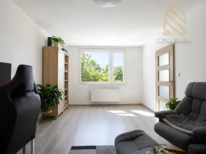 Prodej bytu 2+1, Ústí nad Labem - Střekov, Tolstého, 62 m2
