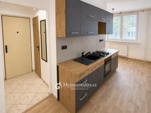 Pronájem bytu 2+1, Znojmo, Gagarinova, 55 m2
