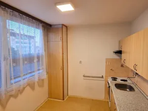 Pronájem bytu 1+1, Mladá Boleslav - Mladá Boleslav II, Na Radouči, 40 m2