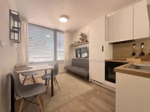 Pronájem bytu 2+kk, Praha - Smíchov, Plzeňská, 25 m2