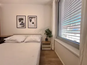 Pronájem bytu 2+kk, Praha - Smíchov, Plzeňská, 25 m2