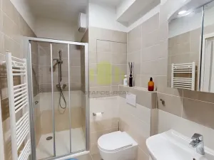 Pronájem bytu 1+kk, Olomouc, Wittgensteinova, 27 m2