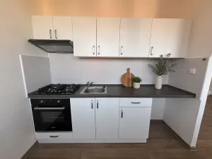Pronájem bytu 1+1, Most, Václava Talicha, 43 m2