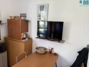 Prodej bytu 1+kk, Slapy, 17 m2