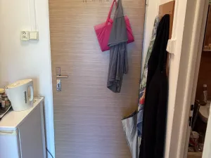 Prodej bytu 1+kk, Slapy, 17 m2