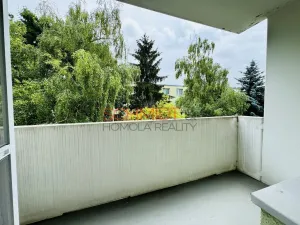 Pronájem bytu 3+1, Hustopeče, Školní, 72 m2