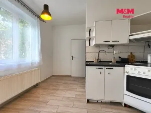 Pronájem bytu 2+1, Brandýs nad Labem-Stará Boleslav - Stará Boleslav, Maxe Švabinského, 55 m2