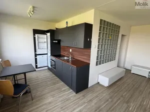 Pronájem bytu 1+1, Most, Javorová, 35 m2