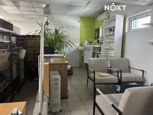 Pronájem obchodního prostoru, Tábor, 9. května, 140 m2