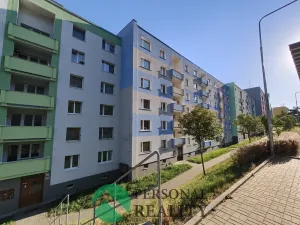 Pronájem bytu 1+1, Cheb, Dvořákova, 42 m2