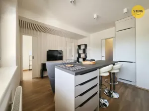 Pronájem bytu 1+kk, Jihlava, Vrchlického, 38 m2