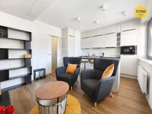 Pronájem bytu 1+kk, Jihlava, Vrchlického, 38 m2