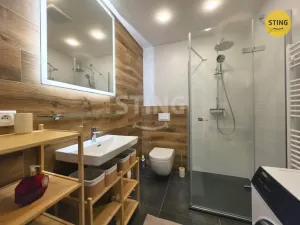 Pronájem bytu 1+kk, Jihlava, Vrchlického, 38 m2