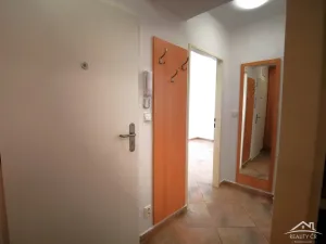 Pronájem bytu 1+1, Jihlava, Wolkerova, 32 m2