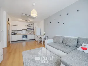Pronájem bytu 2+kk, Jihlava, Buková, 45 m2