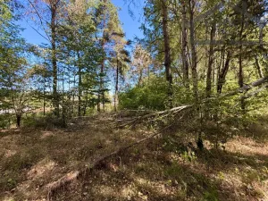 Prodej pozemku pro bydlení, Přimda - Újezd pod Přimdou, 894 m2